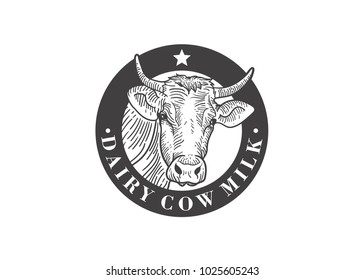 Dairy Cows Milk Logo, Cow head logo illustration designs, Hand drawn sketch in a graphic style, Vintage vector