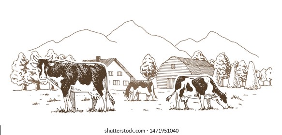 Dairy Farm. Cows Graze In The Meadow. Rural Landscape, Village Vintage Sketch.