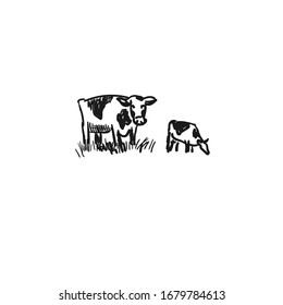 Dairy farm. Cows graze in the meadow. Vintage sketch