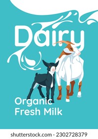 Dairy farm poster, goat, lamb and splash of milk on large text background. Advertising flyer, postcard. Vector flat illustration