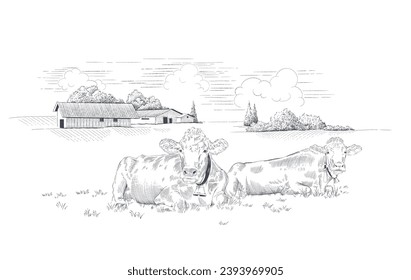 Dairy farm.  Rural landscape with cows  in a meadow . Hand drawn vector illustration