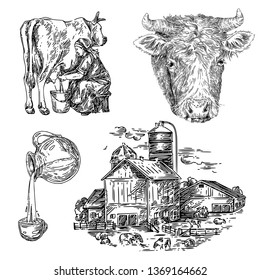 Dairy farm set. Cow's head, milking, jug of milk, building. Sketch. Engraving style. Vector illustration.