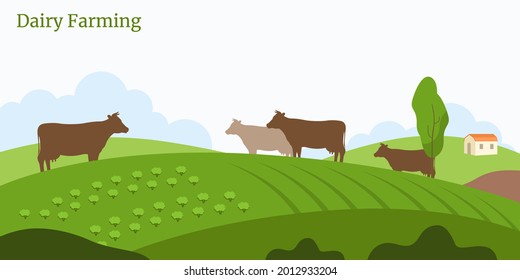 Dairy Farming cow in the field landscape village background agriculture land with composting vector design