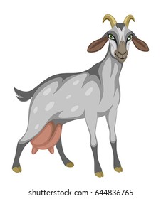 Dairy gray funny goat on a white background