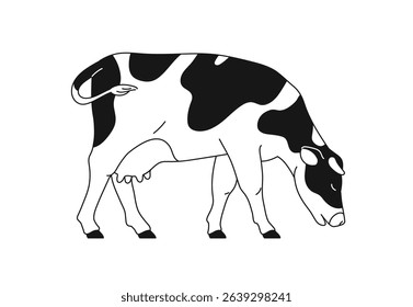 Dairy milk cow grazing, side view. Spotted farm animal, livestock, feeding, eating. Contoured outlined black and white domestic cattle, free-range fauna. Linear flat vector illustration isolated