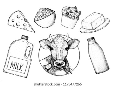 Dairy produce hand drawn vector illustration. Design label. Cheese, cottage cheese, yogurt, milk, butter illustration. Organic products, healthy food.