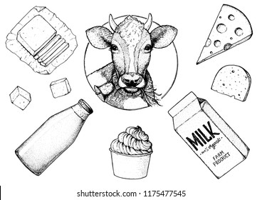 Dairy produce hand drawn vector illustration. Design label. Cheese, cottage cheese, yogurt, milk, butter illustration. Organic products, healthy food.