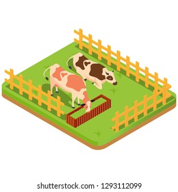 Dairy production milk factory isometric composition with images of cows depasture on grass in farm yard vector illustration - Vector 