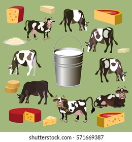 Dairy products and cows for infographic. Vector illustration