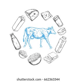 Dairy products vector collection. Cow, milk products, cheese , butter, sour cream, curd, yogurt. Farm foods. Cow.  Hand drawn illustration. Isolated objects on white