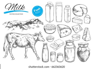 Dairy products vector collection. Cow, milk products, cheese , butter, sour cream, curd, yogurt. Farm foods. Farm landscape with cow.  Hand drawn illustration. Isolated objects on white