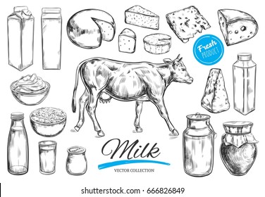 Milchprodukte, Vektorgrafik. Kuh, Milchprodukte, Käse, Butter, saures Sahne, Quark, Jogurt. Landwirtschaftliche Lebensmittel. Landschaft mit Kuh.  Handgezeichnete Illustration. Einzige Objekte auf Weiß