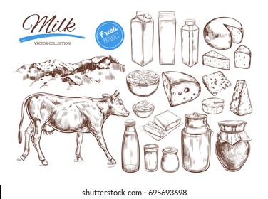 Dairy products vector collection. Cow, milk products, cheese , butter, sour cream, curd, yogurt. Farm foods. Farm landscape with cow.  Hand drawn illustration. Isolated objects on white