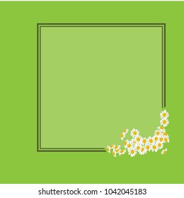 daises, floral background