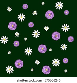 Daisies and asters pattern