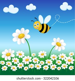 daisies bee