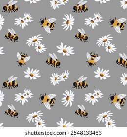 Daisies and bees in a pattern.Vector seamless pattern with bees and white daisies on a gray background.