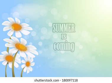 Daisies and blue sky. Vector.