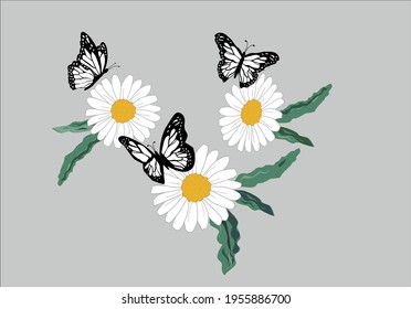 daisies and butterfly design vector