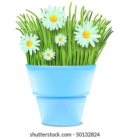 Daisies and camomile in grass in blue vase