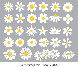 Daisies clipart. Collection of cute round daisies. Simple design. Vector graphics.