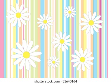 daisies and color stripes