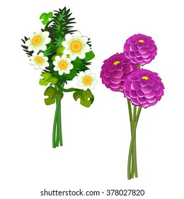 Daisies and dahlias. Vector.