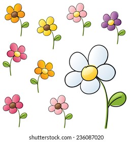 Daisies in different color schemes. 