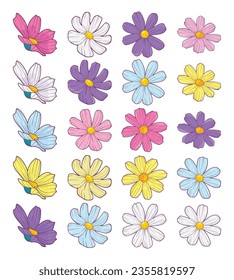 Daisies in different positions and colors