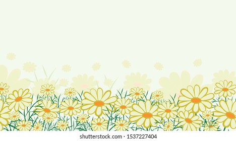 Daisies. Flower texture. On a white background daisies. Botany. Beauty in nature. Vector illustration.