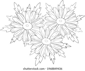 Daisies flowers graphics lines black and white vector illustration
