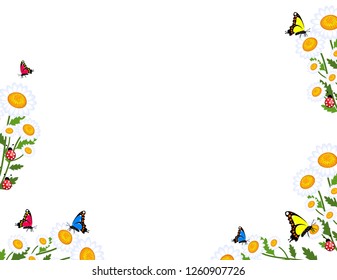 Daisies flowers grass background