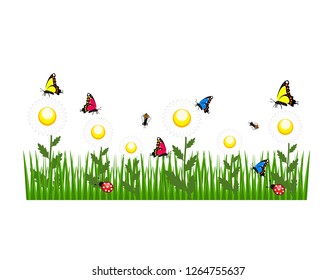 Daisies flowers grass butterflies
