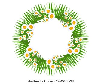 Daisies flowers grass frame