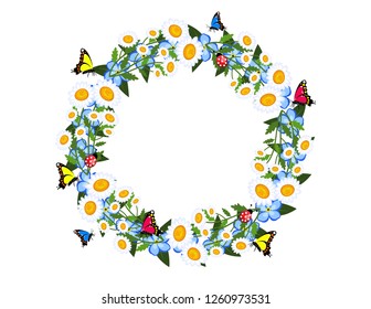 Daisies flowers grass frame