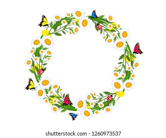 Daisies flowers grass frame