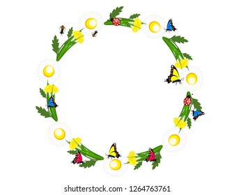 Daisies flowers grass frame
