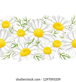 Daisies flowers horizontal seamless pattern. Vector illustration of daisy garland, chamomile border, frame isolated on white background. Cartoon, flat style.