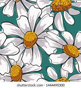 Daisies green background. Flower vector. Spring blossom