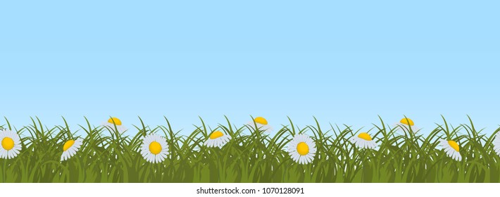 Daisies in green grass on a blue sky background. Border. Summer flowers. It can be used as a seamless sample. Vector illustration