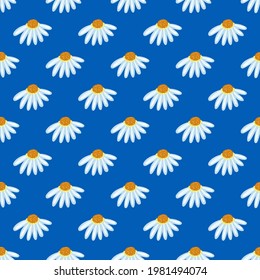 Las margaritas son grandes en un fondo azul.Patrón floral sin costura para textil, tela, papel de pared, fondo, papel de embalaje.