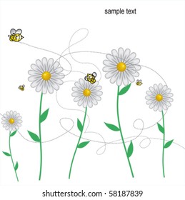 DAISIES meadow with bees background, vector