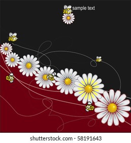 DAISIES meadow with bees background, vector