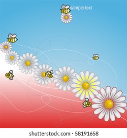 DAISIES meadow with bees background, vector