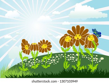 daisies in the meadow, illustration, vector