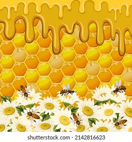 Daisies on a background of honeycombs.Bees and daisies on honeycomb background in vector illustration.