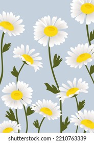 Daisies on a blue background.Eps 10 vector.