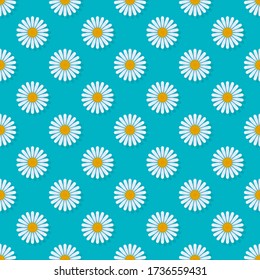 Daisies on blue background seamless pattern