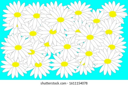 a lot of daisies on the blue background, with white leaves and yellow middles