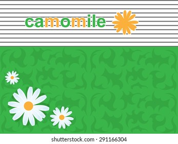 daisies on a green abstract background